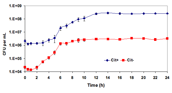 Graph Time(h) vs CFU per mL
