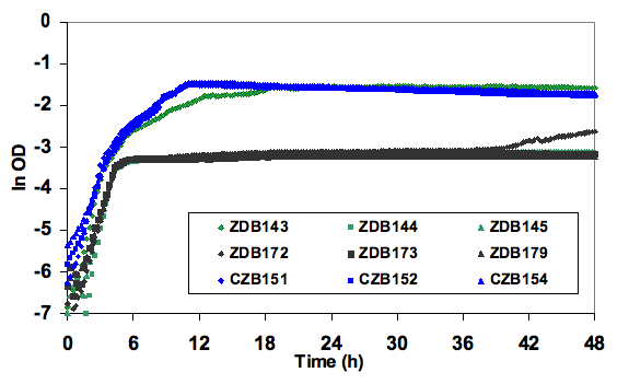 Graph Time(h) vs ln OD
